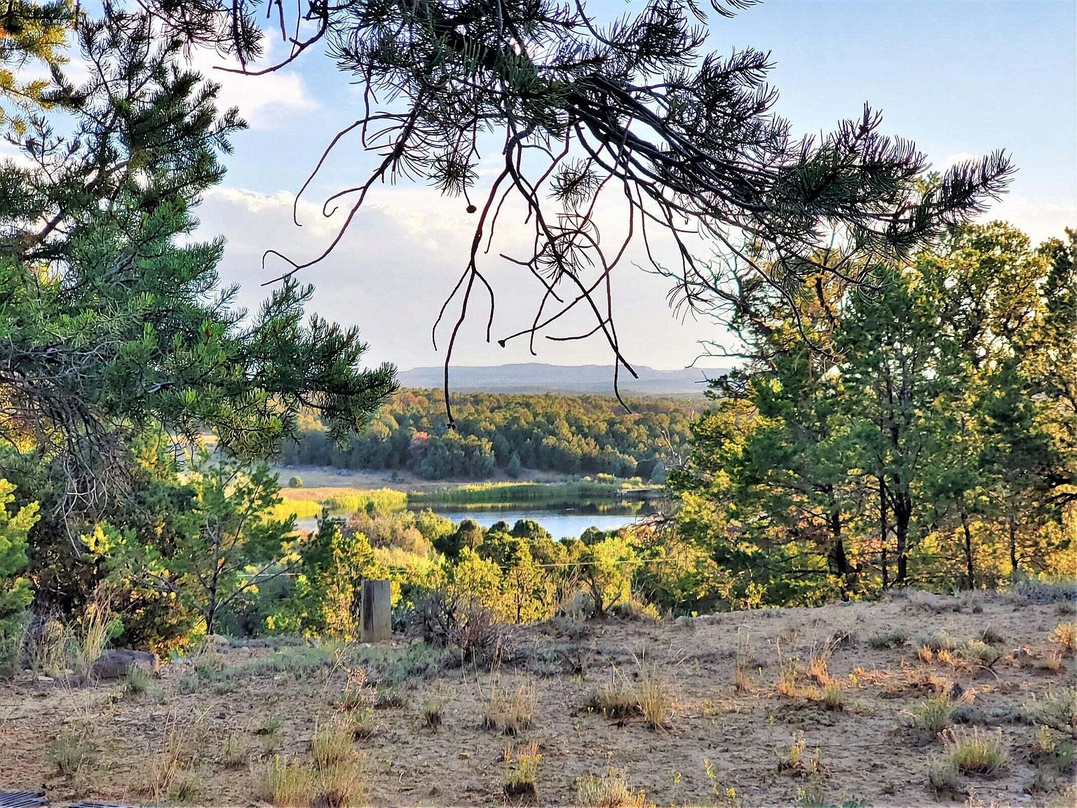 Bear Paw Rd, Regina, NM 87046 Zillow