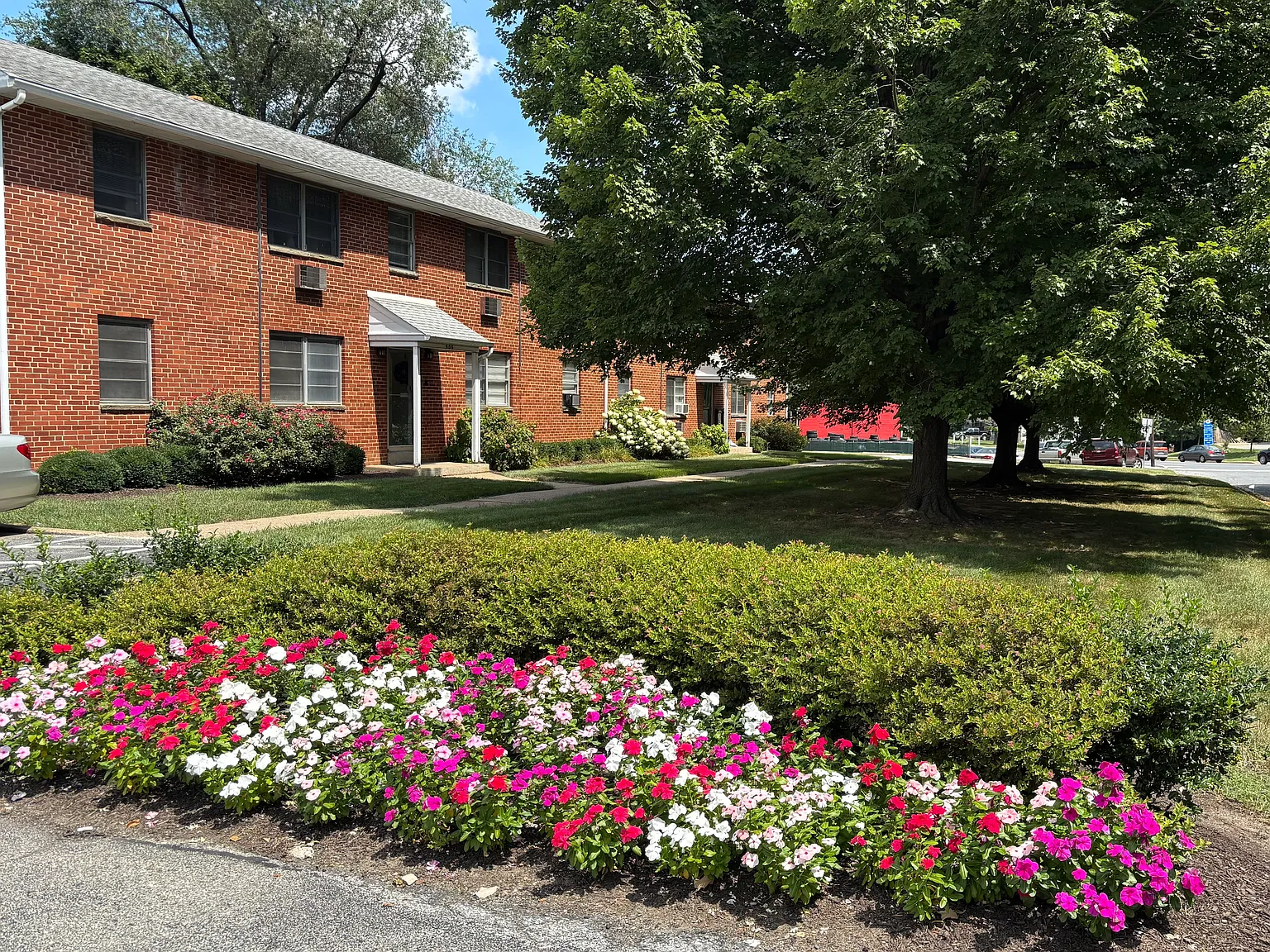 1 bed, 650 sqft, $1,350 — Photo 1