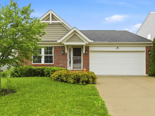 7579 Maple Trunk Dr, Canal Winchester, OH 43110