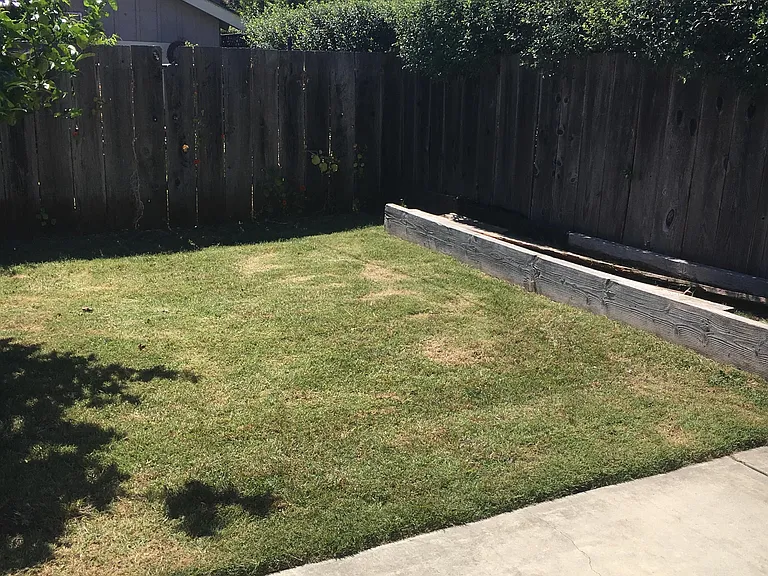 219 Blackburn St — Photo 9