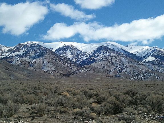 Looking out Back Door