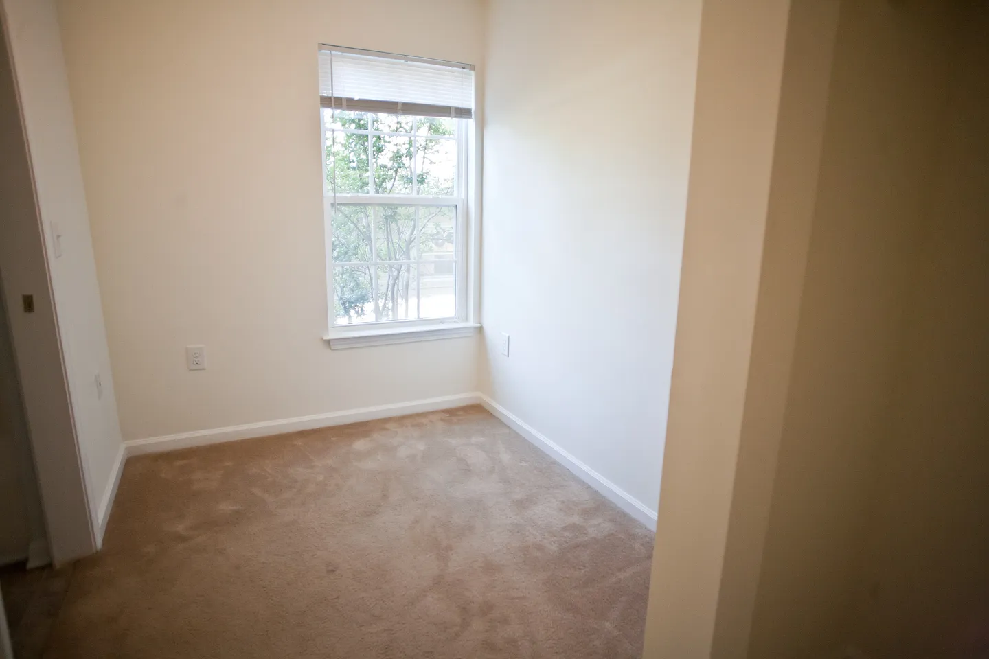 2br/2ba right downtown! Rent includes water and electricity and one parking spot! — Photo 4