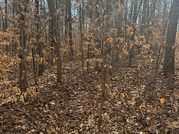 4th image of 1064 Frontage Rd