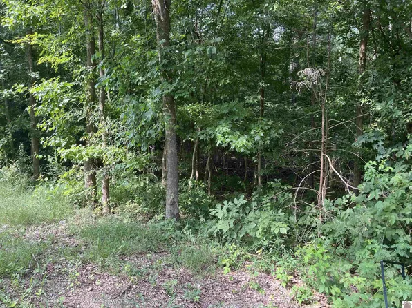 0 Stroud Rd Lot 9, Hardin, KY 42048