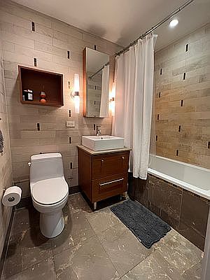 5th image of 500 4th Ave APT 11J