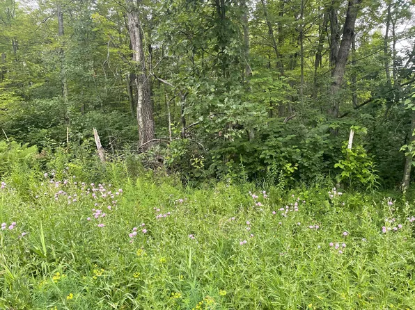 LOT 23 Winter Trl, Pequot Lakes, MN 56472