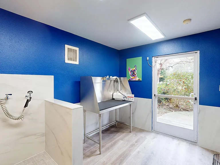 CitySouth — Photo 43