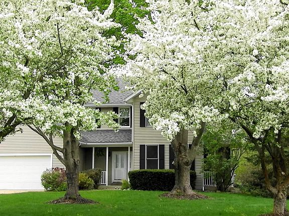 5th image of 5802 Woodbrook St