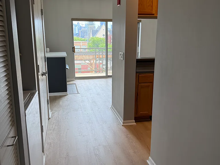 100 N Hermitage Ave #515 — Photo 6