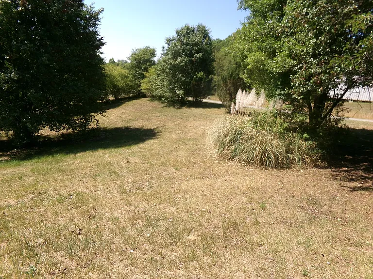 1015 Grassland Ct — Photo 4