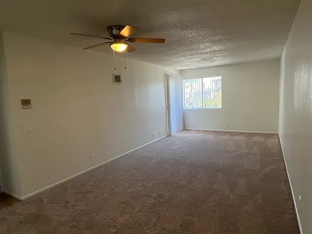 Georgia Court — Photo 19