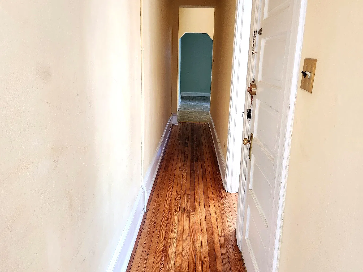 1 bed, 1000 sqft, $1,500 — Photo 3