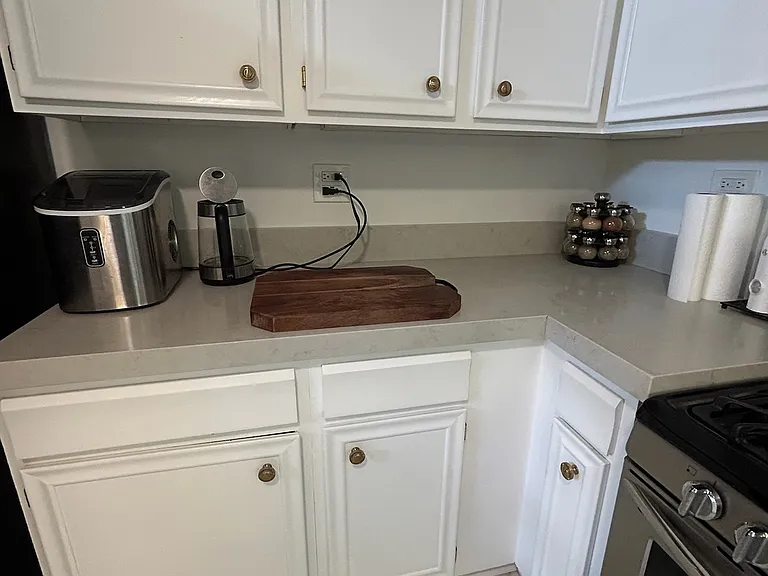541 W Brompton Ave #3N — Photo 18