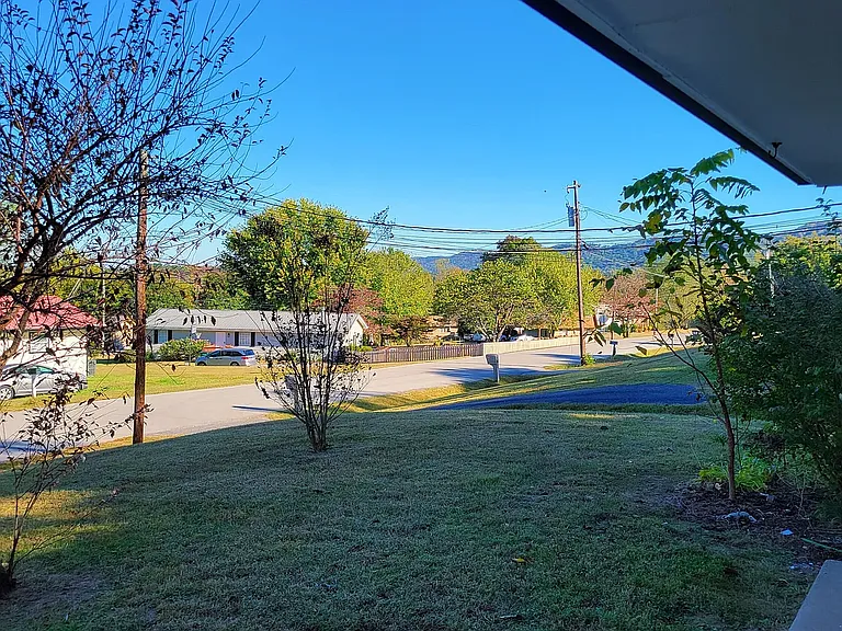 View from front