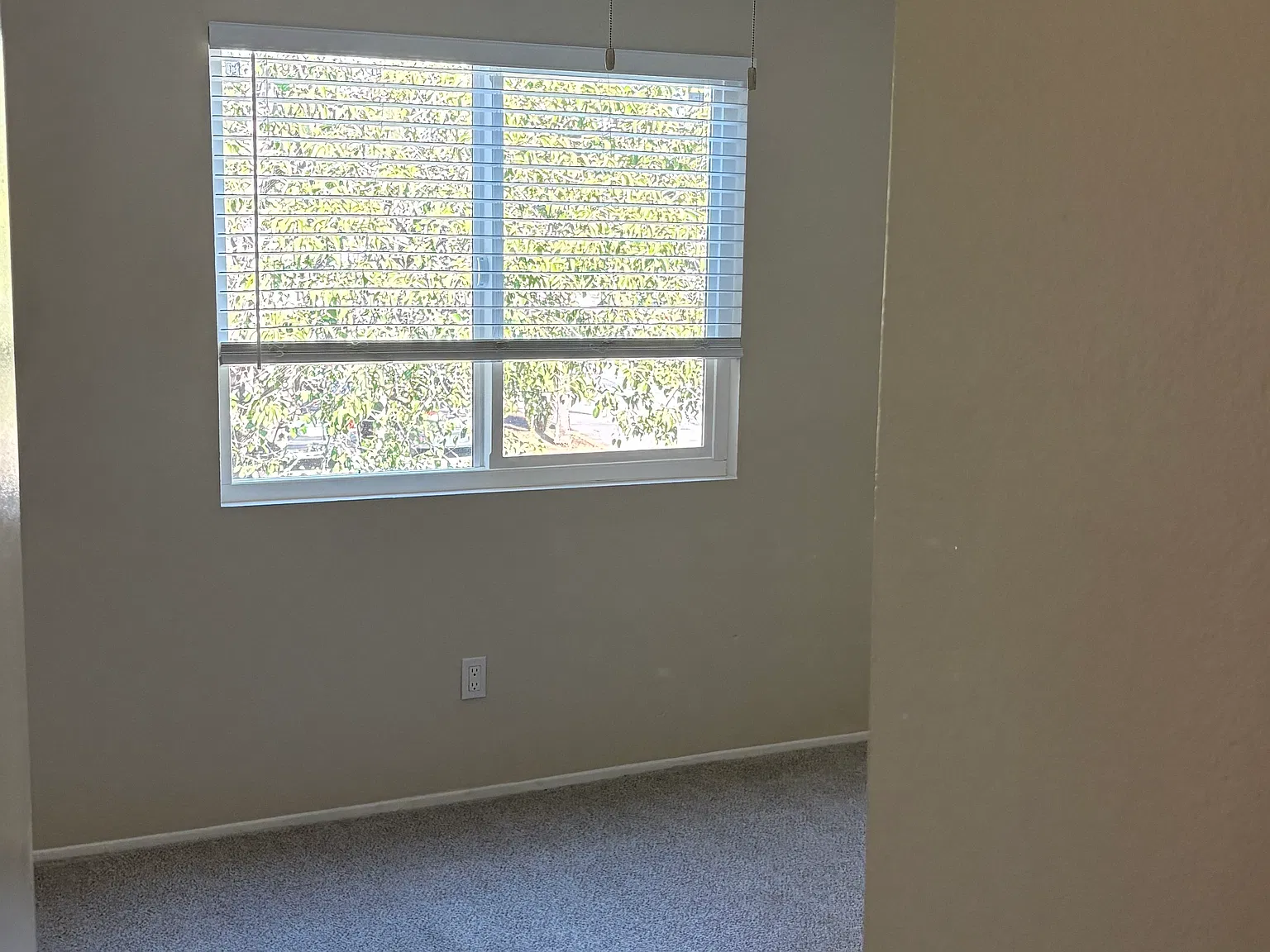 204 Woodland Pkwy — Photo 3