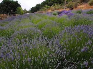 28 Long Valley Rd, Castroville, CA 95012