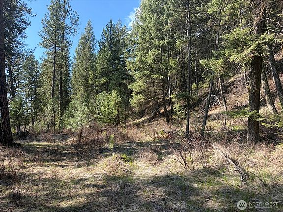 5th image of 111 TBD West Curlew Lake Road