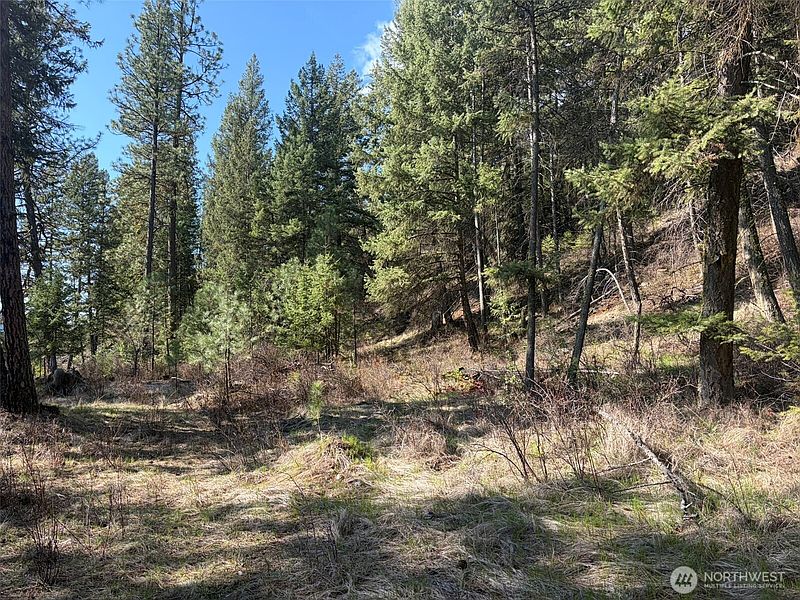 5th image of 111 TBD West Curlew Lake Road