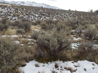 Hog Tommy Rd, Lamoille, NV 89828