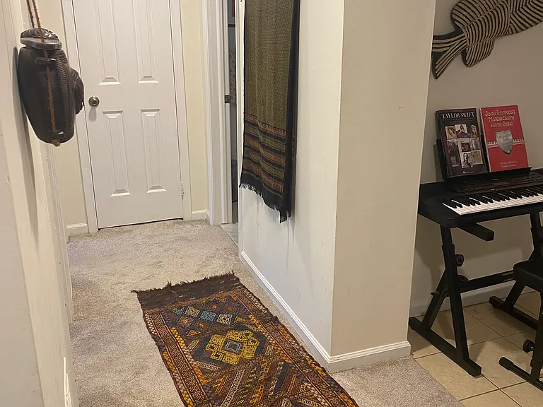 Hallway on the lower level with entry leading to bedrooms, bathroom and laundry room. Linen closet at the end.