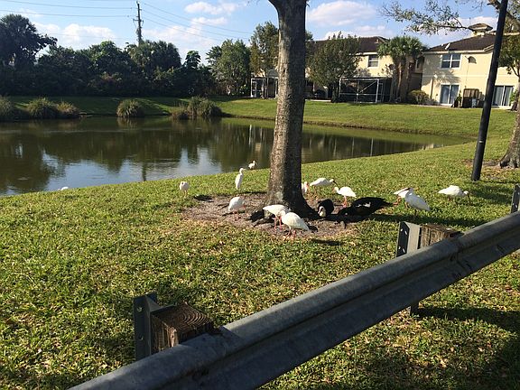 4th image of 870 Summit Lake Dr