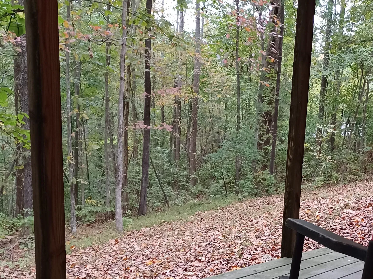 1 bed, 750 sqft, $1,500 — Photo 2