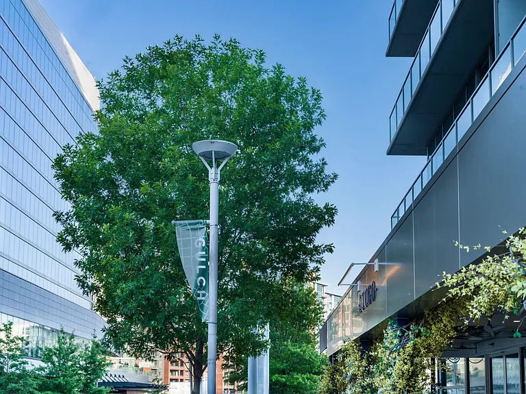 Enjoy the unbeatable convenience of living at Modera Gulch, just steps from the vibrant shops, dining, and wellness studios of The Gulch neighborhood.