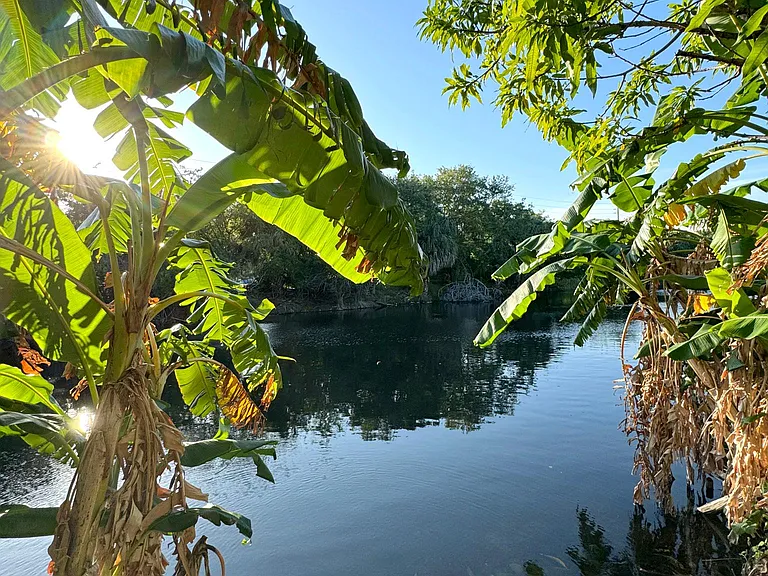 View of the El Rio Canal where you can see wildlife and fish