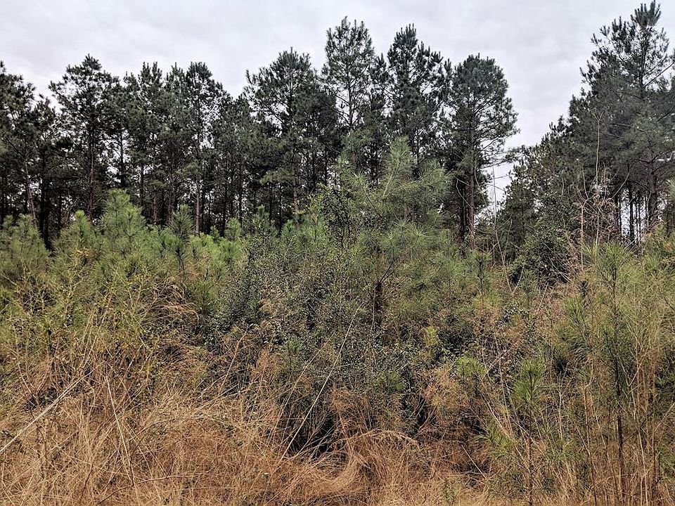 2nd image of 0 County Road 4416