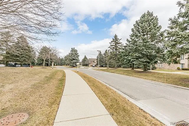 42541 Lilley Pointe Dr #42541 — Photo 6
