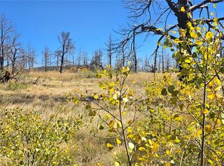 1684 Emery Loop, Fort Garland, CO 81133