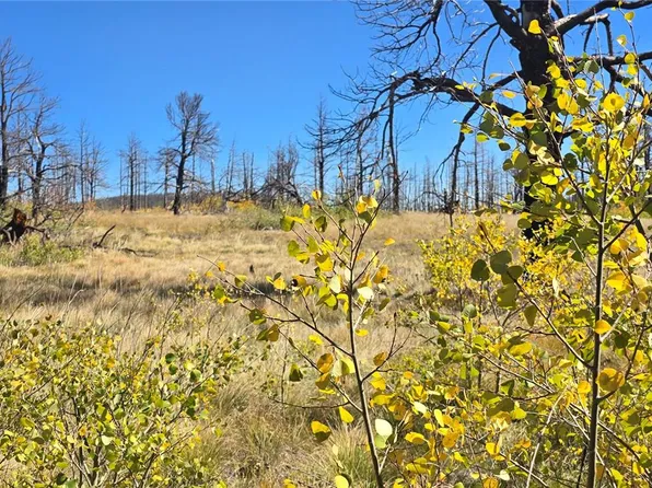 Lot 1684 Emery Loop, Fort Garland, CO 81133