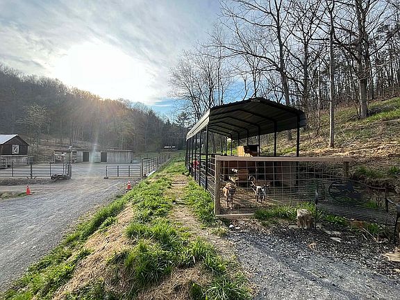 6th image of 587 Point Rd