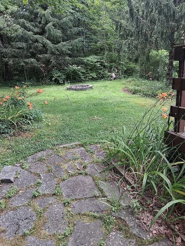 3 bed, 1538 sqft, $2,900 — Photo 4