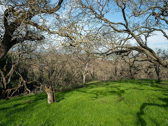 3rd image of 260 Crest Road