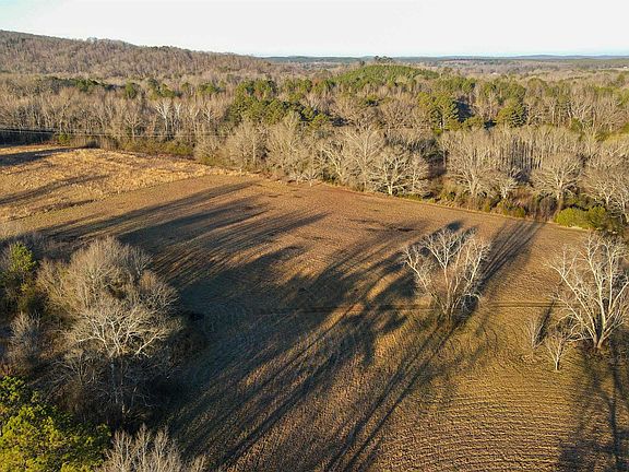 2nd image of 1781 Highway 5 #2