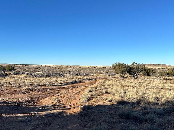 5th image of 3893 Trebil Blvd