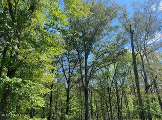 115 Bridgewater Xing #13, Ridgeland, MS 39157