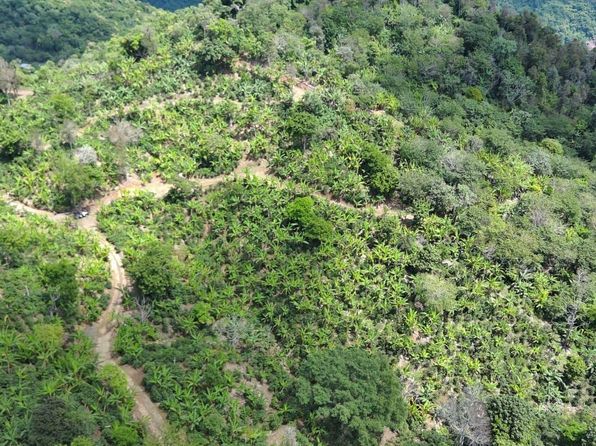 Km 12.4 Carr #505, Ponce, PR 00731
