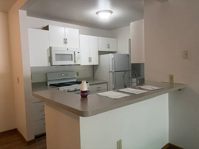 3 bed, 1100 sqft, $1,289 — Photo 2