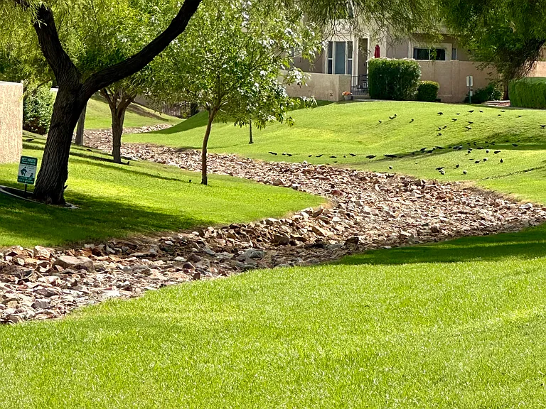 10410 N Cave Creek Rd #1046 — Photo 1