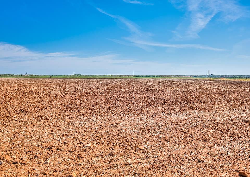 1st image of Other Other