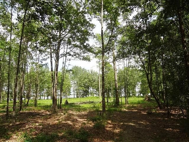 2nd image of 256 Peninsula Dr