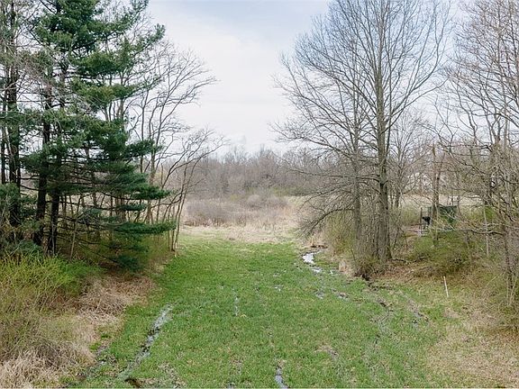 5th image of 5006 S Canfield Niles Rd