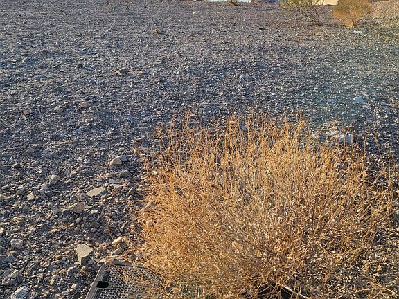 4th image of 2795 Barbara Dr Lot 16
