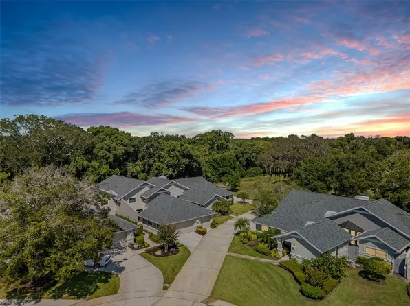 2639 Royal Liverpool Dr, Tarpon Springs, FL 34688