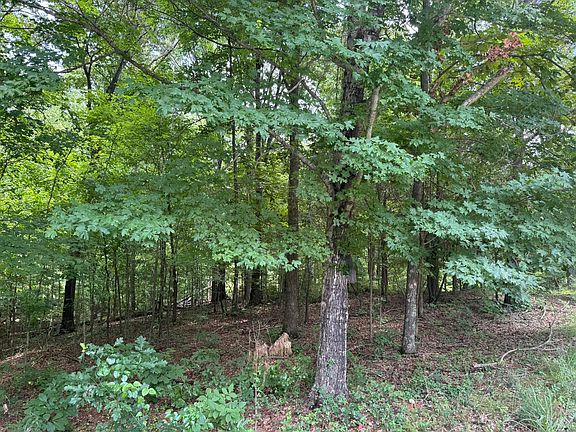 4th image of LOT 7 Woodsong Ln