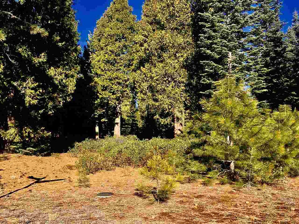 2nd image of 289 Alpine Fir Rd