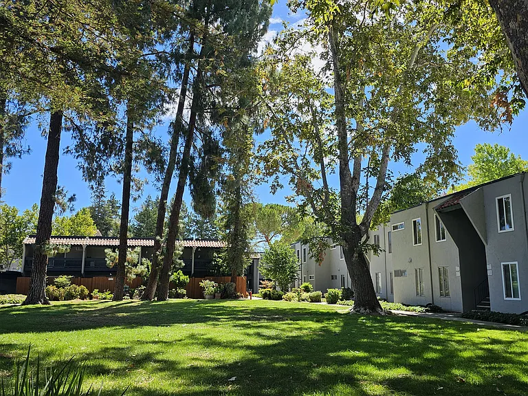 1009 Murrieta Blvd — Photo 11