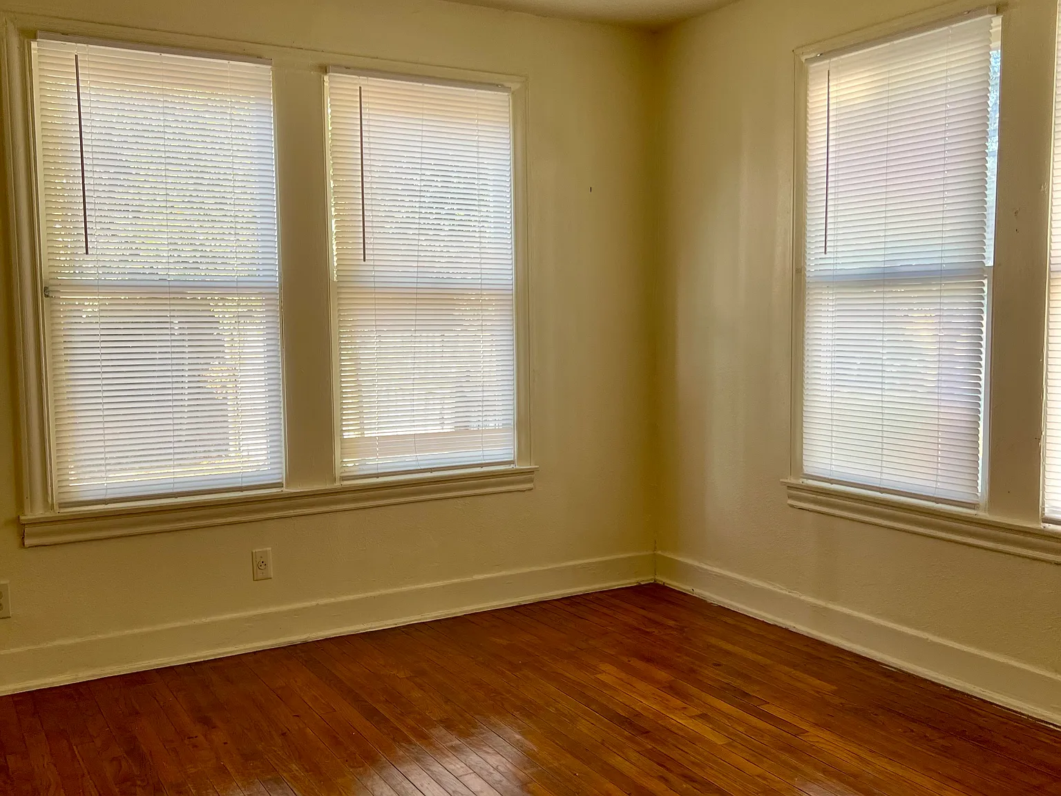 2 bed, 1000 sqft, $950 — Photo 3